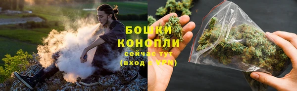 мескалин Заводоуковск