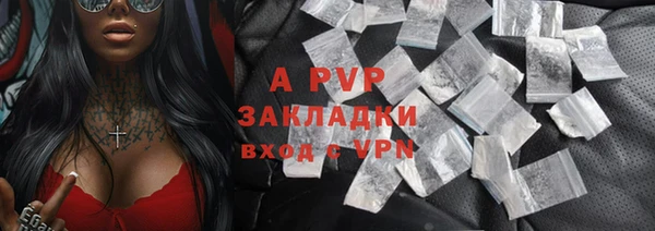 ГАЛЛЮЦИНОГЕННЫЕ ГРИБЫ Заволжье