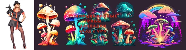 ГАЛЛЮЦИНОГЕННЫЕ ГРИБЫ Заволжье