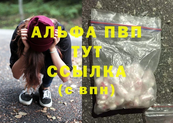 ГАЛЛЮЦИНОГЕННЫЕ ГРИБЫ Заволжье
