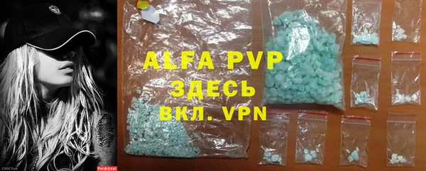 ГАЛЛЮЦИНОГЕННЫЕ ГРИБЫ Заволжье
