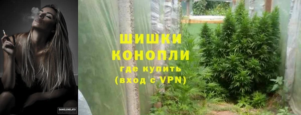ГАЛЛЮЦИНОГЕННЫЕ ГРИБЫ Заволжье